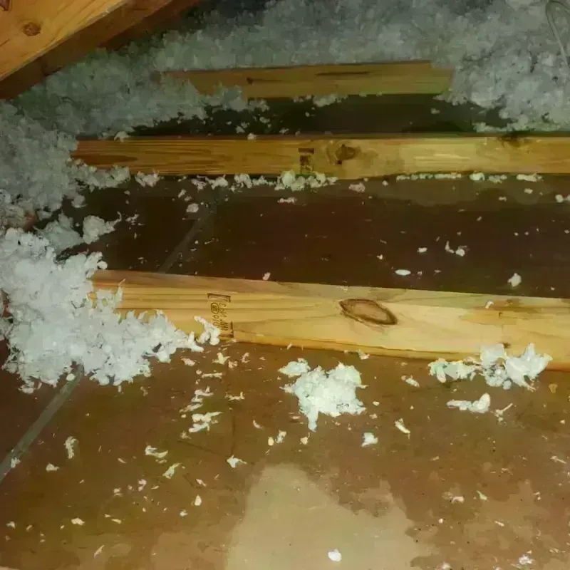 Attic Water Damage in Woodside East, DE